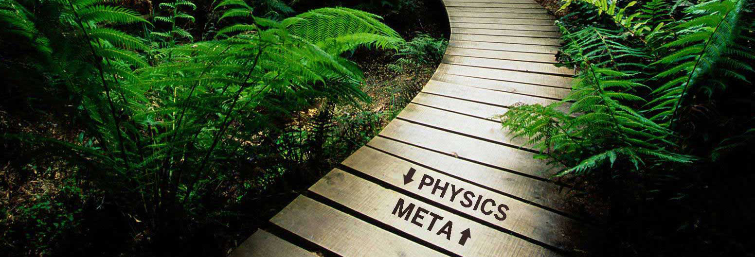 متافیزیک[Metaphysics] شاخه‌ای از فلسفه است که به ماهیت وجود، هستی و جهان می‌پردازد. متافیزیک در واقع پایه و اساس فلسفه است.
